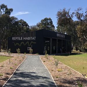Reptile Habitat