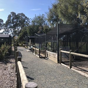 Quoll Enclosures
