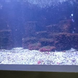 Fourth North east Atlantic and North Sea Tank