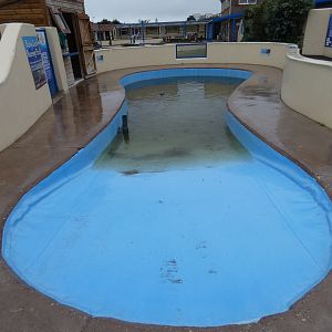 Seal rearing pool