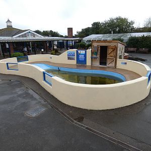 Seal rearing pool