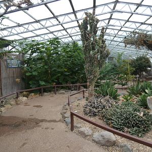 Desert area of the Floral Palace