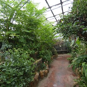 Butterfly area of the Floral Palace