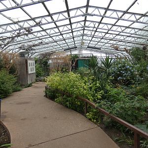 Free-flying bird area of the Floral Palace