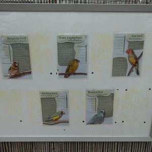Free-flying birds signage