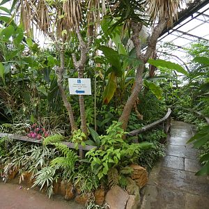 Butterfly area of the Floral Palace