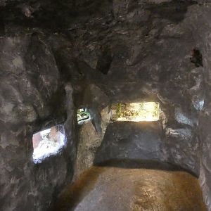View in reptile house