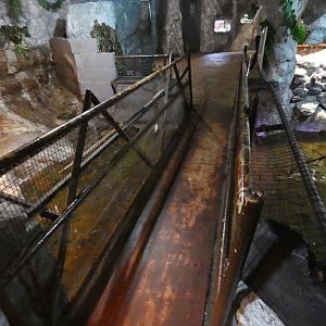 Bridge over the caiman enclosure