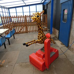 Coin-operated giraffe ride