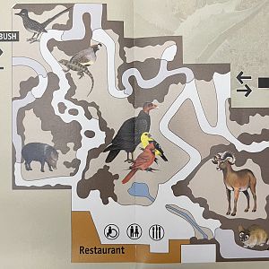 Zoo Map - 2009 (Desert)