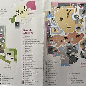Zoo Map - 2008
