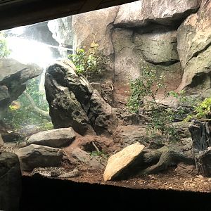 Streamside, Rattlesnake exhibit
