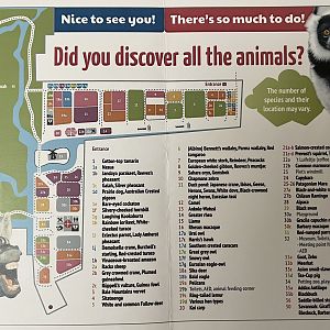 Zoo Map - 2019