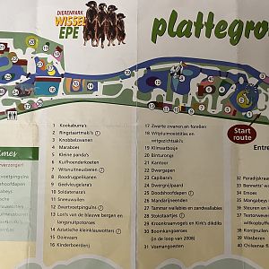 Zoo Map - 2008