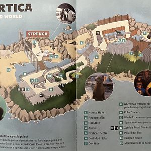 Nortica Map - 2019