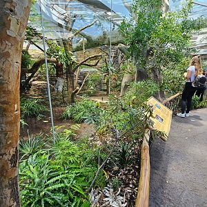 Australia House, Sep. 2023