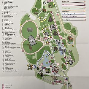Zoo Map - 2019
