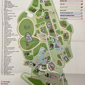 Zoo Map - 2018