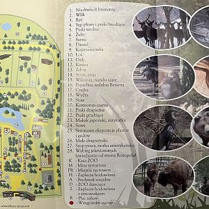 Bydgoszcz Zoo - 2010?