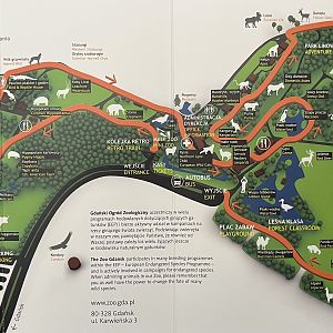 Zoo Map - 2017?