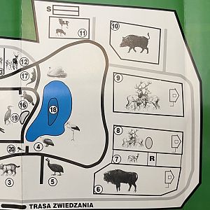 Bydgoszcz Zoo - undated