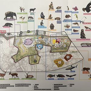 Orientarium Map - 2018
