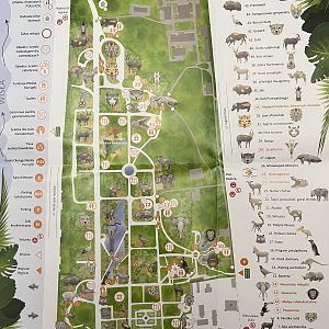 Zoo Map - undated