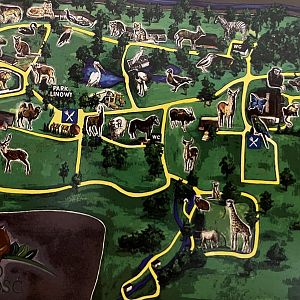 Zamosc Zoo Map - undated