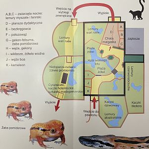 Madagascar House Map - 2010