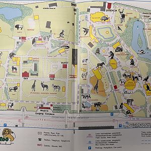 Zoo Map - undated