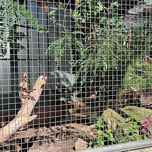 North American Pheasantary Aviary