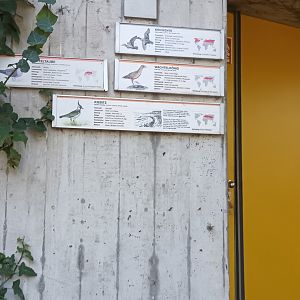 Signage Example European Aviary