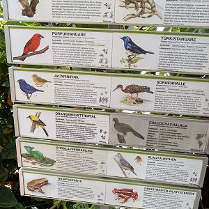 Amazonia - Sign free roaming species 2022