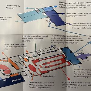 Aquarium Map - undated