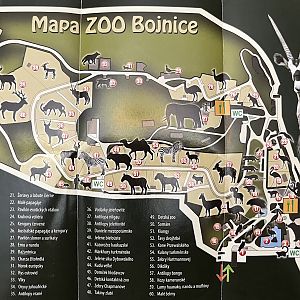 Zoo Map - undated