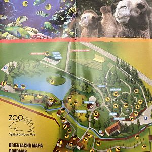 Zoo Map - undated