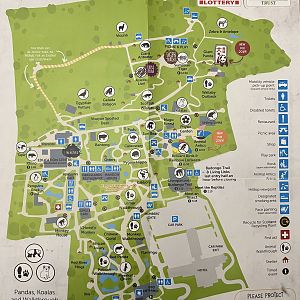 Zoo Map - 2019