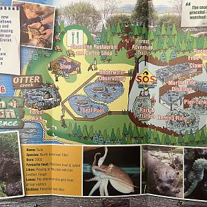 Aquarium Map - 2006
