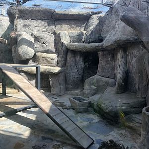 Black Leopard Enclosure atAslan Park