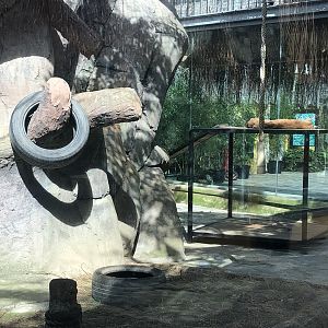 Lynx Enclosure at Aslan Park