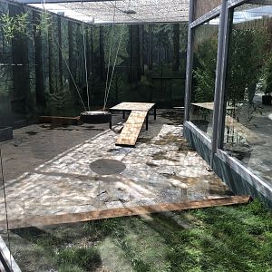 Caracal Enclosure at Aslan Park