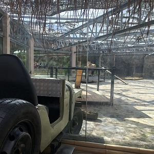 Lion Enclosure at Aslan Park