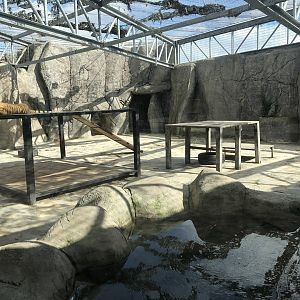 Tiger Enclosure at Aslan Park