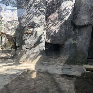 Leopard Enclosure at Aslan Park