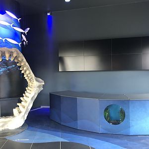 Abandoned Reception with Live Fish at ViaSea Aquarium