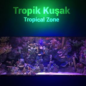 Generic Tank at ViaSea Aquarium