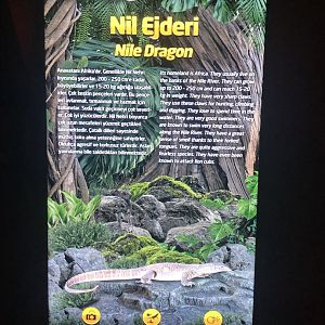 Nile… Dragon (?) sign at the ViaSea Aquarium