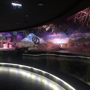 Otter Enclosure at ViaSea Aquarium