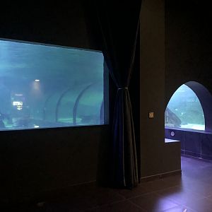 Entrance to the Tunnel Aquarium at ViaSea Aquarium