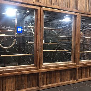 Birds Cages at ViaSea Aquarium